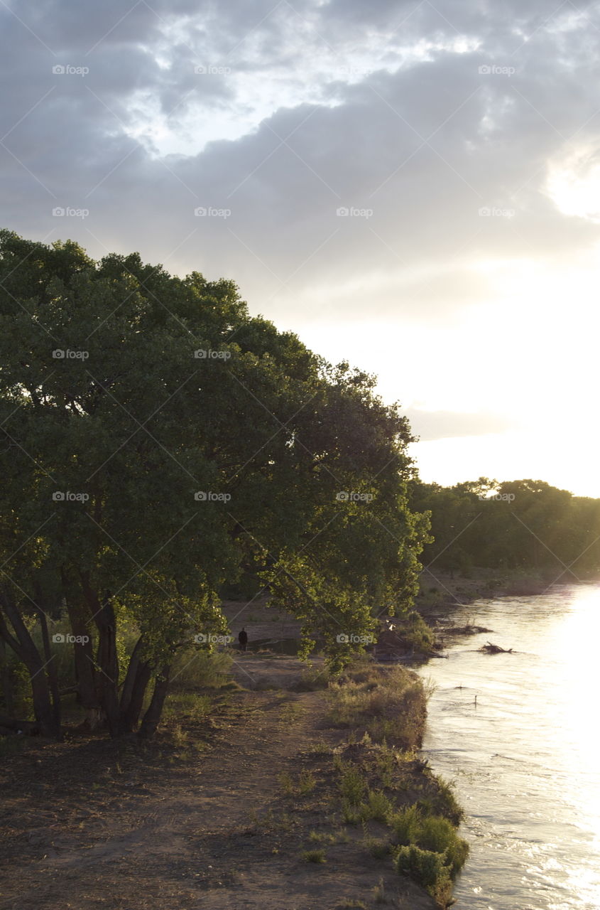 Sunset Through The Trees