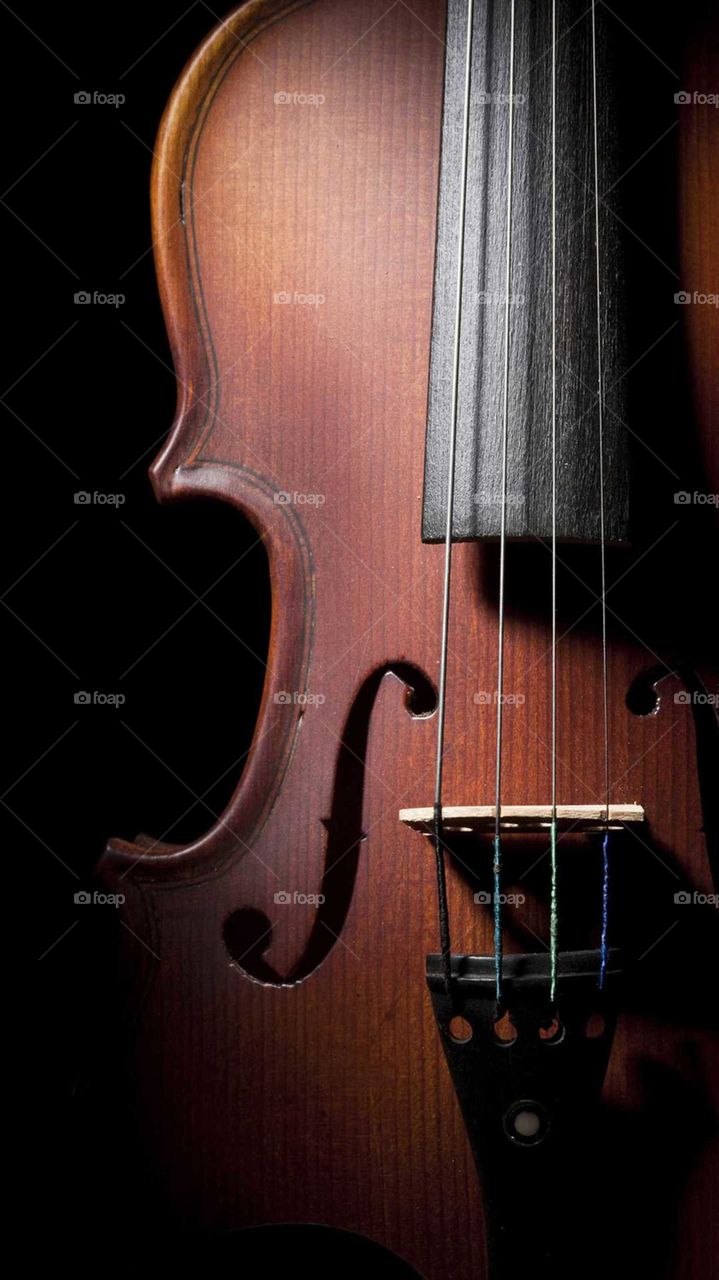 Wood, Classic, Bowed Stringed Instrument, Violin, Wooden