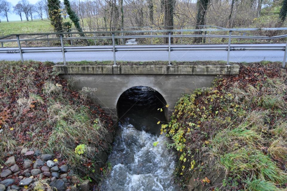 Fall, Water, No Person, Leaf, Bridge