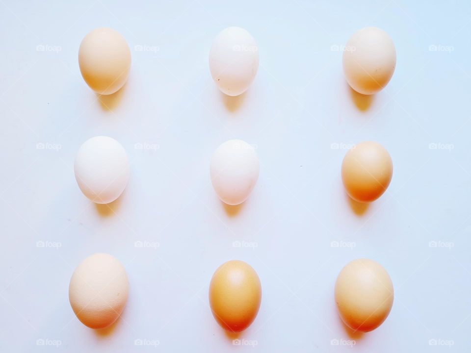 chicken eggs in a row photographed from above