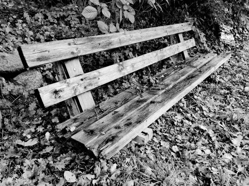 Old bench in black and white