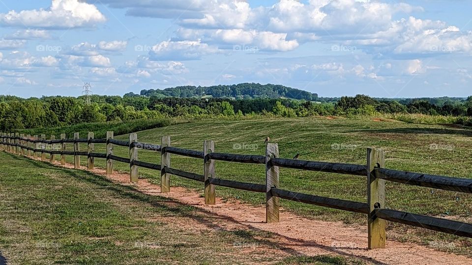 two birds on a fence
