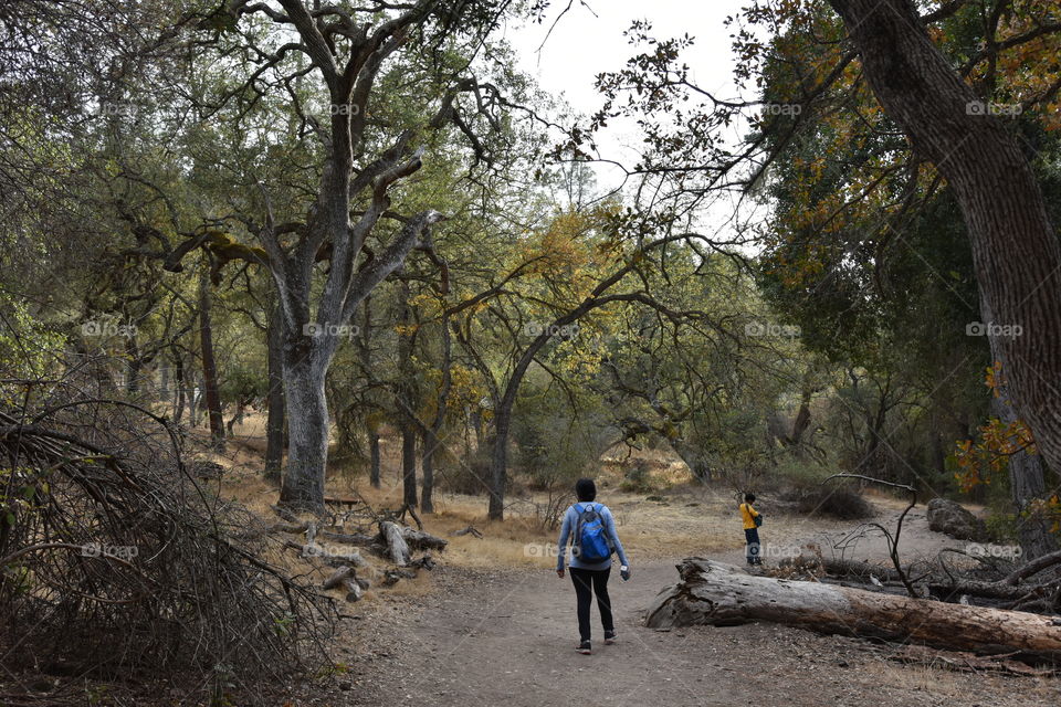 Spending time outdoors, hiking