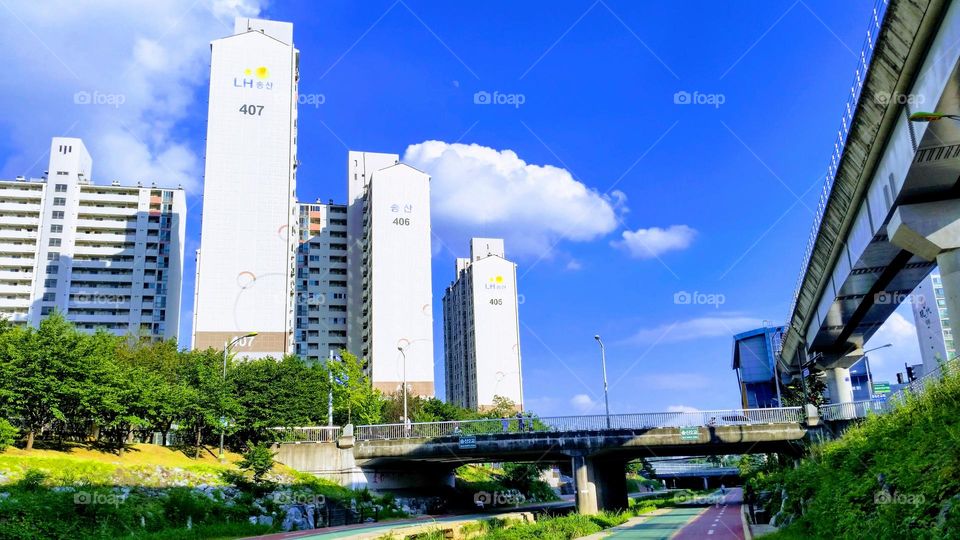 colors of the spring & summer