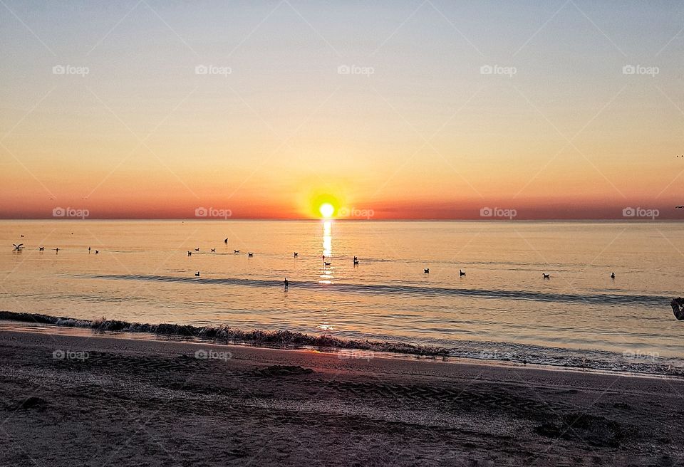 Watching the Sunrise.