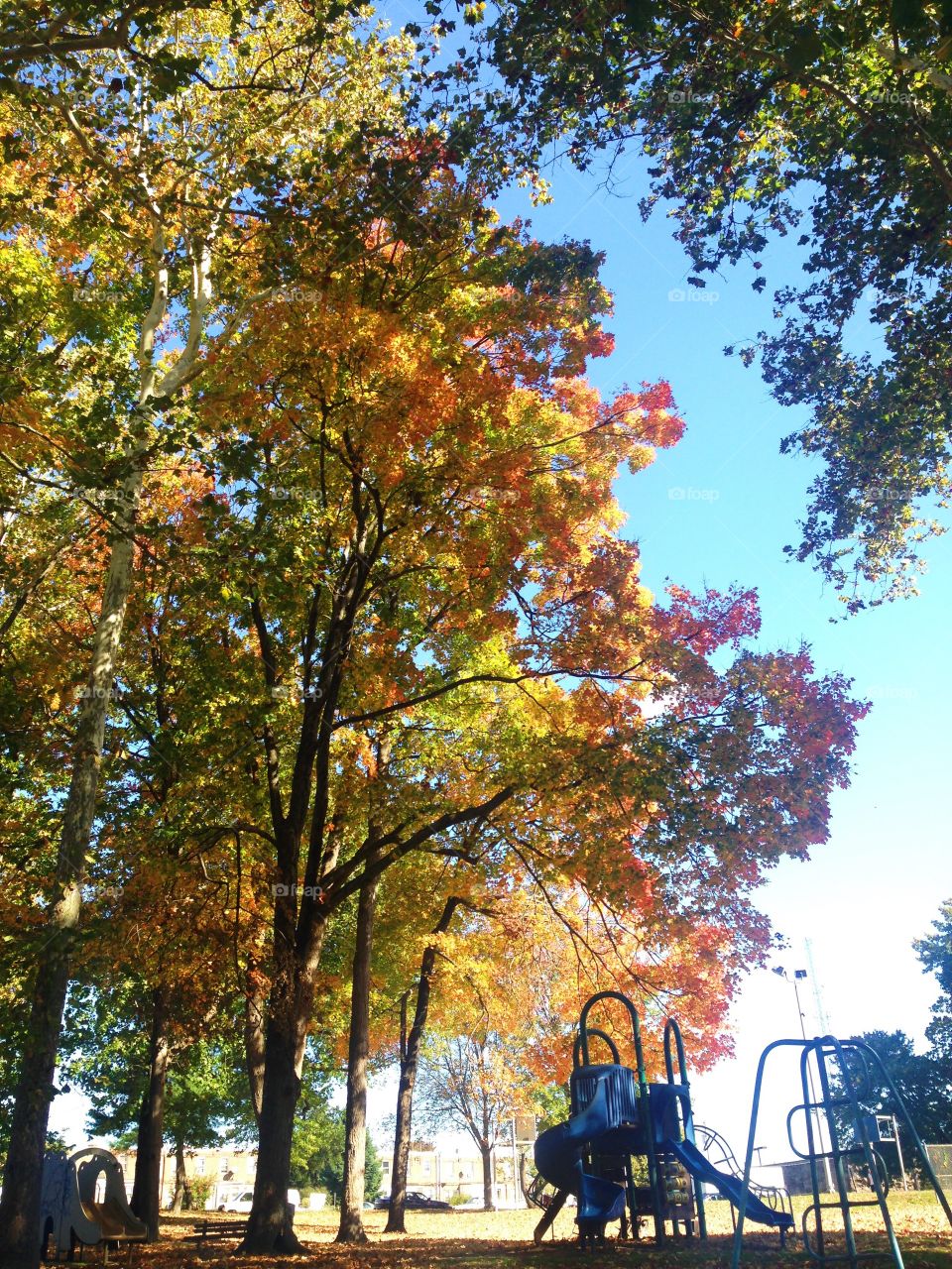 Autumn in PA. Colorful foliage 
