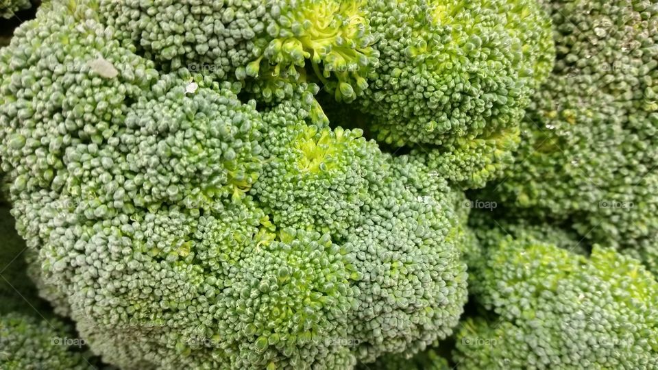 Broccolis heads