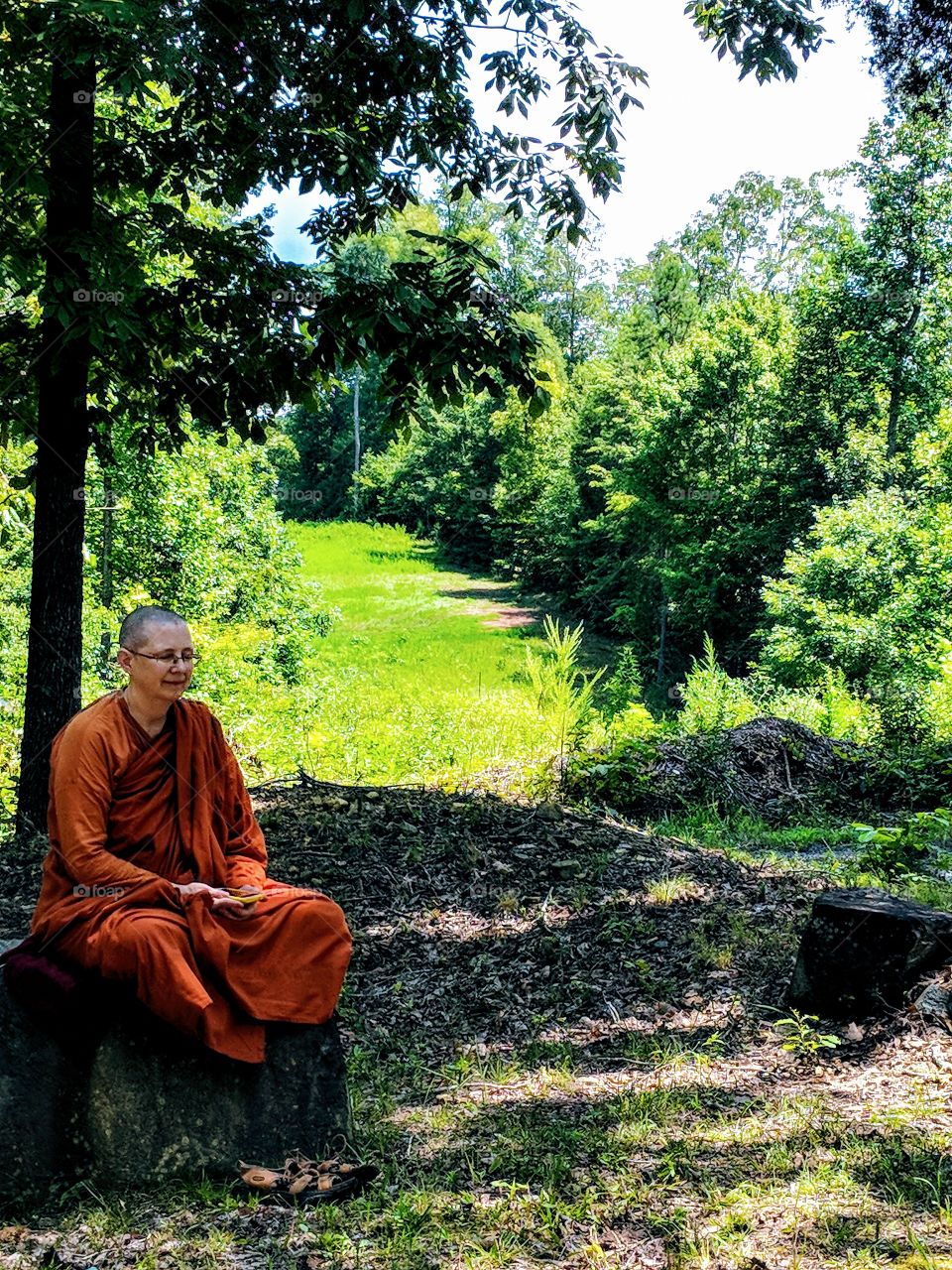 a Buddhist female monk, or bhikkhuni, sits in mindful meditation in a forest.