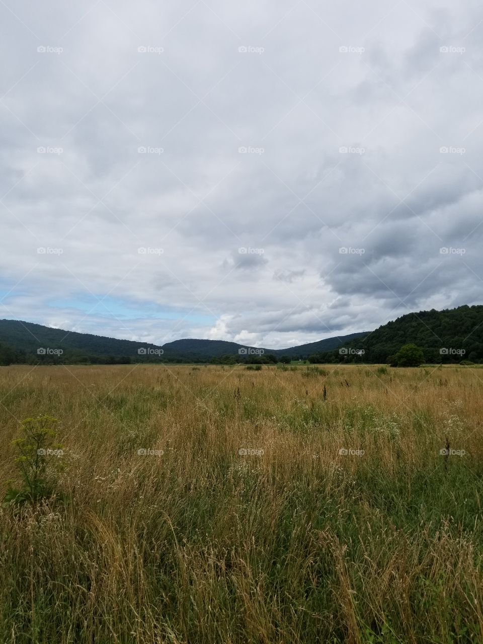 Landscape, No Person, Sky, Nature, Grass