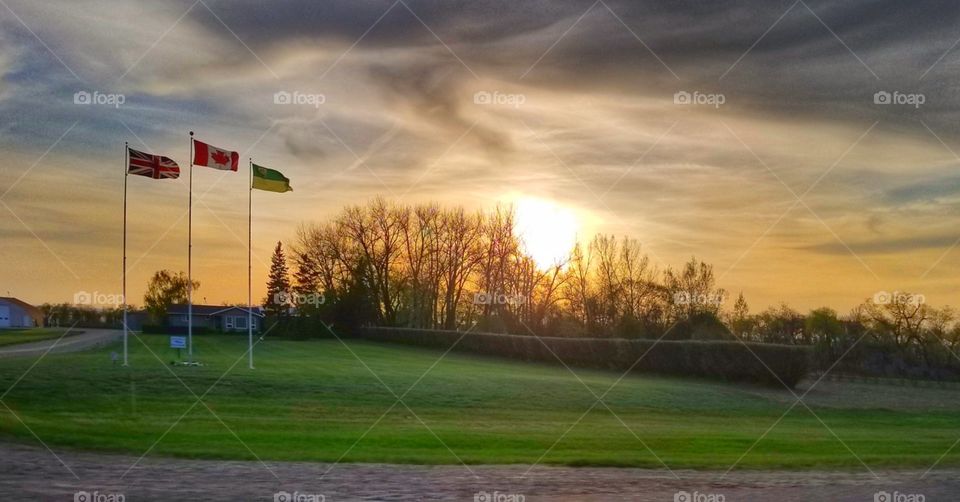 flags on a field that looks like a golf course with a sun set back ground