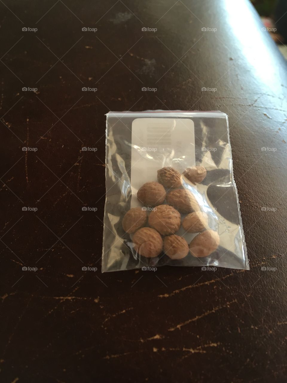 Plum seeds I received in the mail yesterday after ordering them a week ago! Time to plant plant plant!