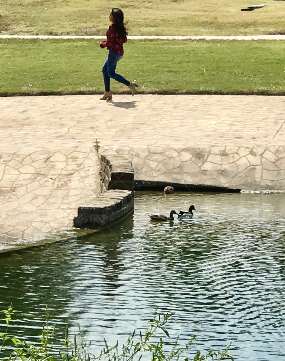 Jogging The Duck Pond
