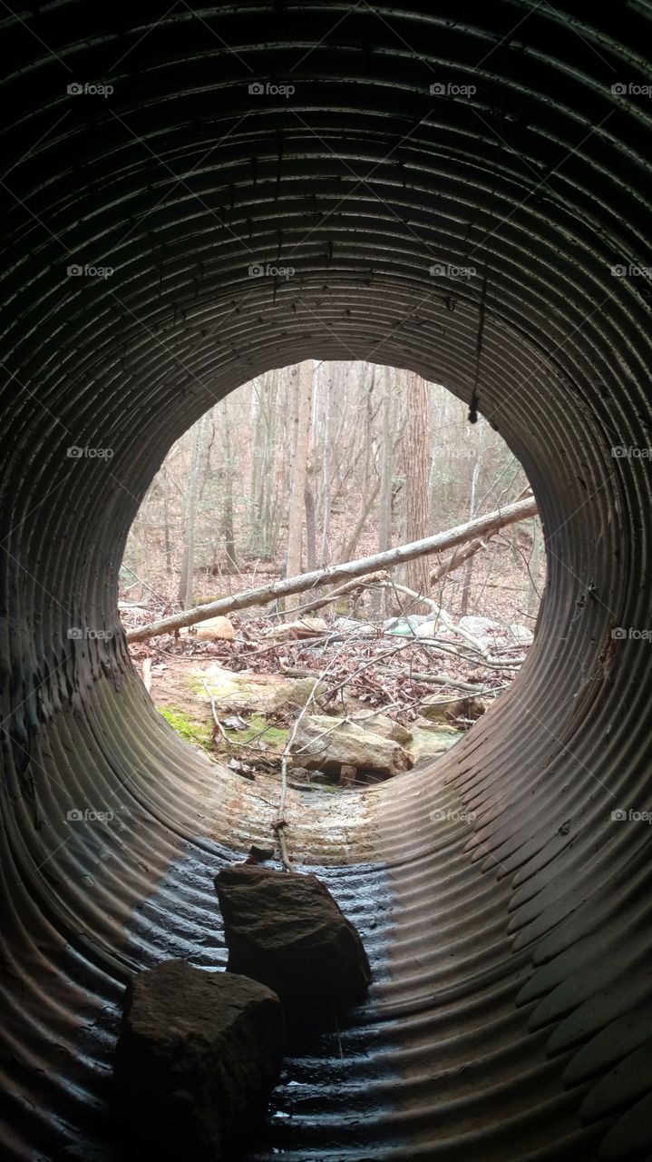 No Person, Industry, Wood, Tree, Outdoors