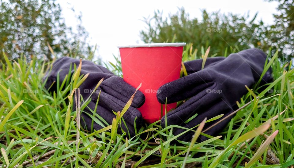 Nature and cup✨