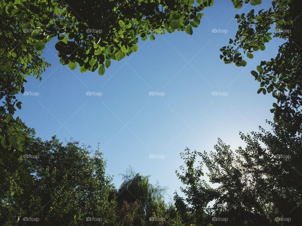 Round and round and round 