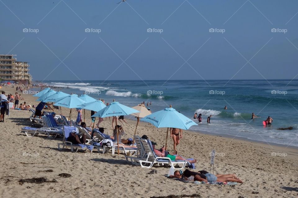 Summer at the Beach