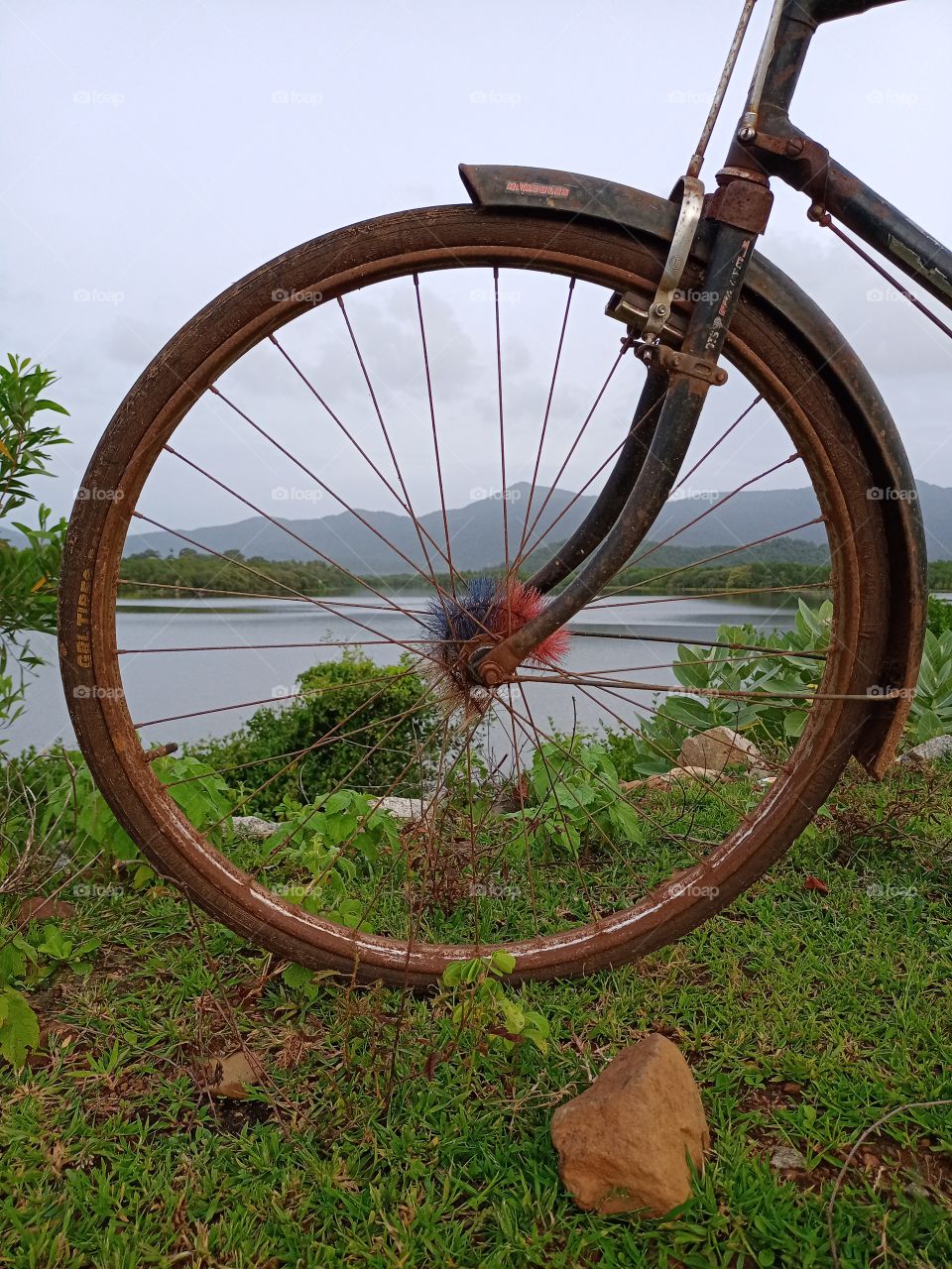 view the bicycle wheel in front of River background of mountain