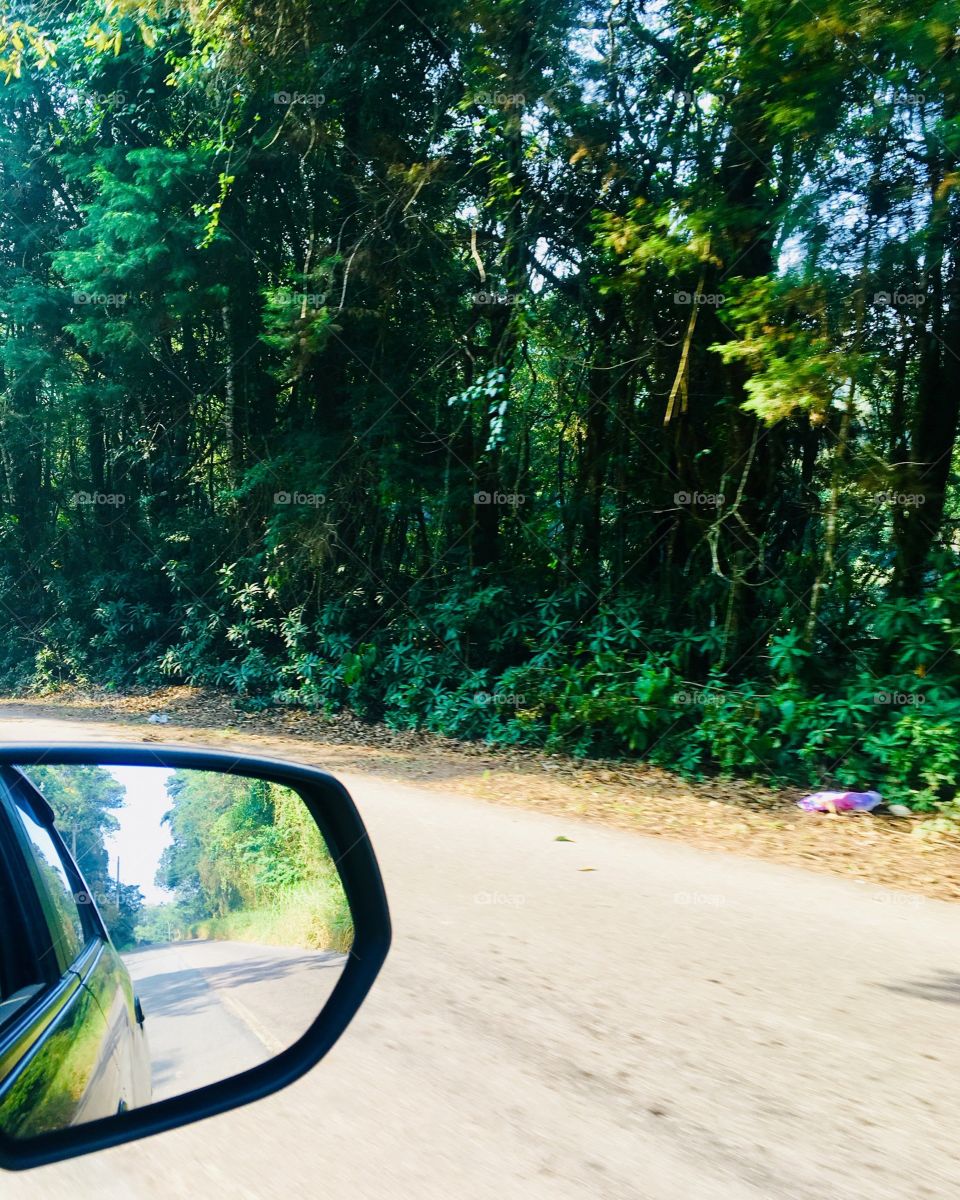 Em algum lugar no meio do mato, na meiúca da Serra do Japi, disputando a estrada livre com jacus e preguiças!
🍁 
#natureza #verde #folhas #SerraDoJapi #Jundiaí #retrovisor #trilha #fotografia 