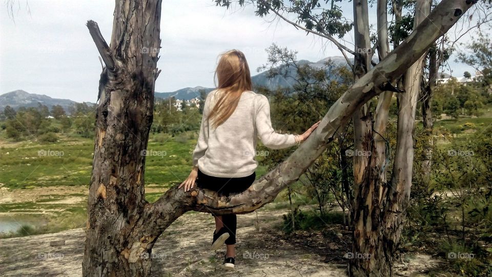Sitting on tree branch looking at landscape