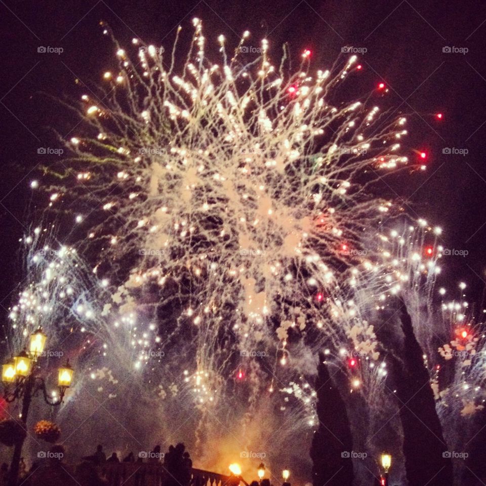 Fireworks. Courtesy of Disney World