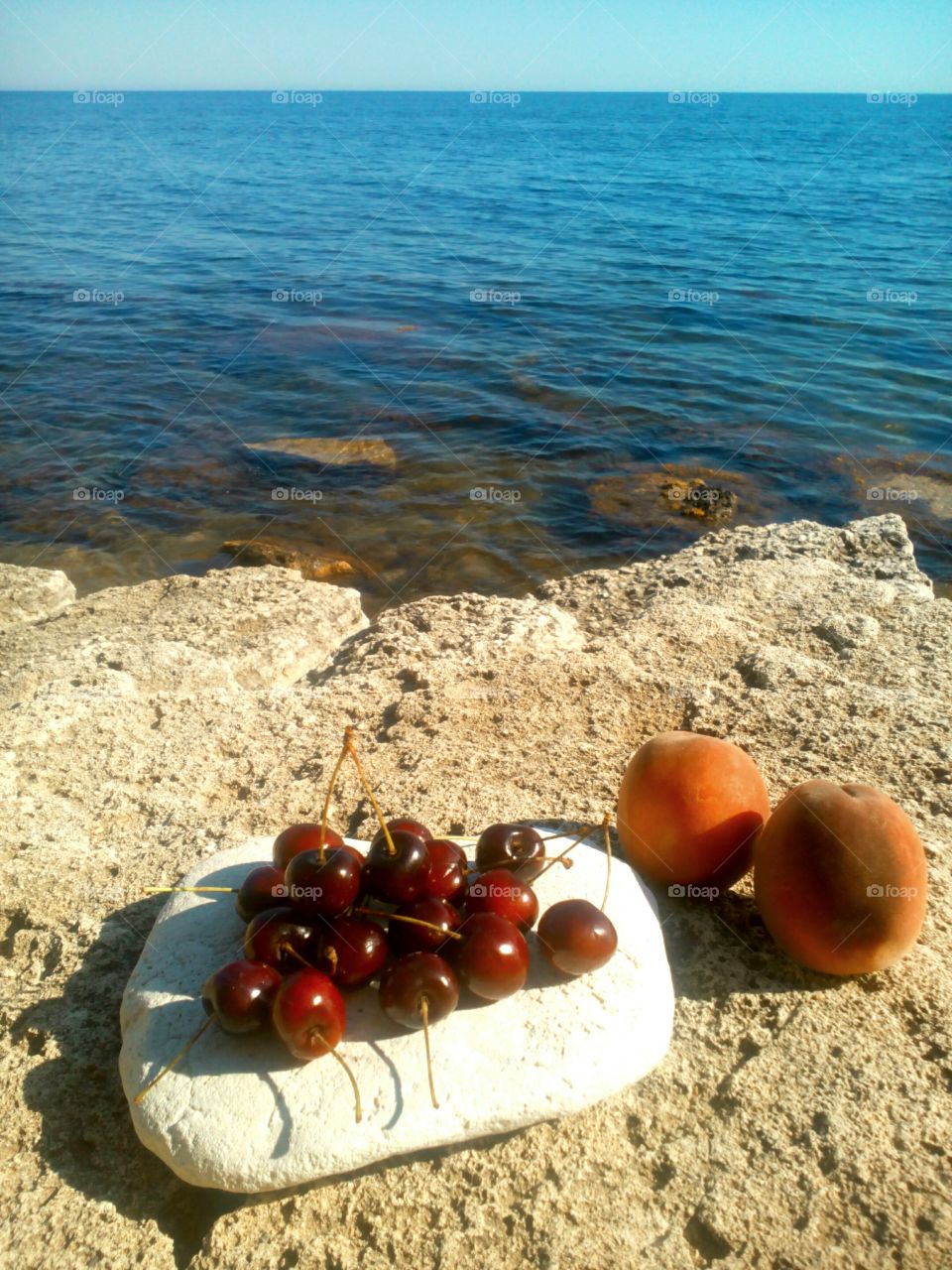 Summer, No Person, Nature, Seashore, Food