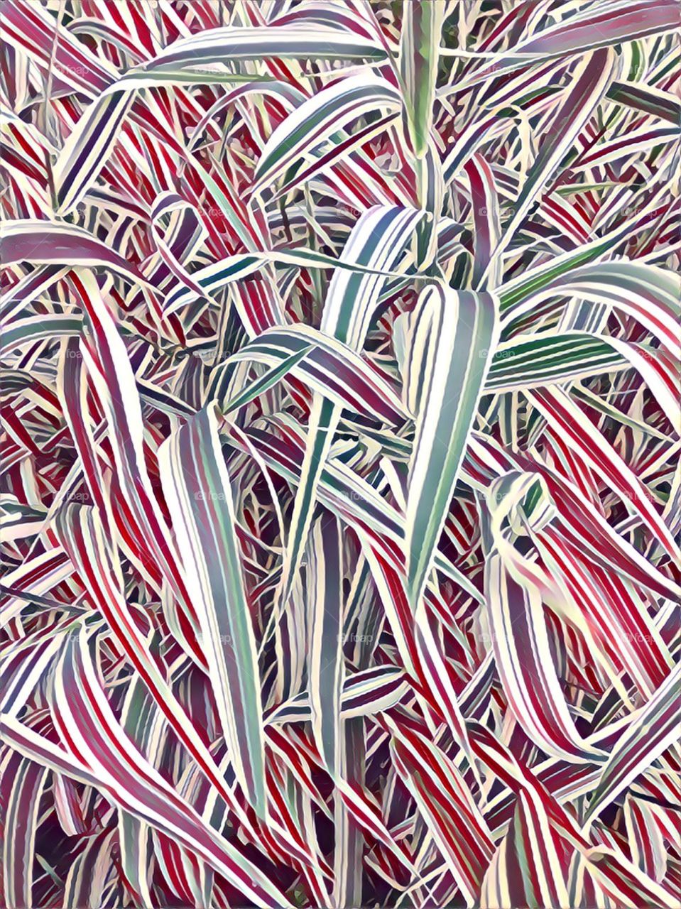 Decor with grass. Part 2.