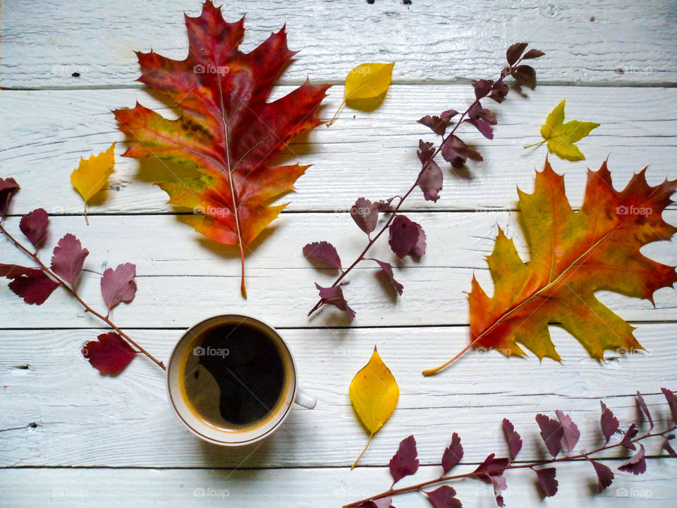 cup of coffee and a multi-colored autumn foliage