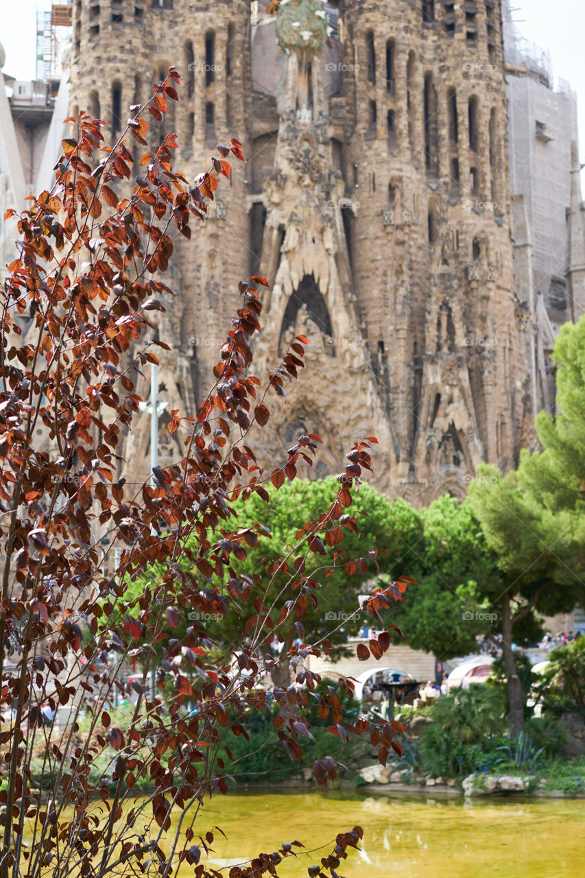 Sagrada Familia at the background