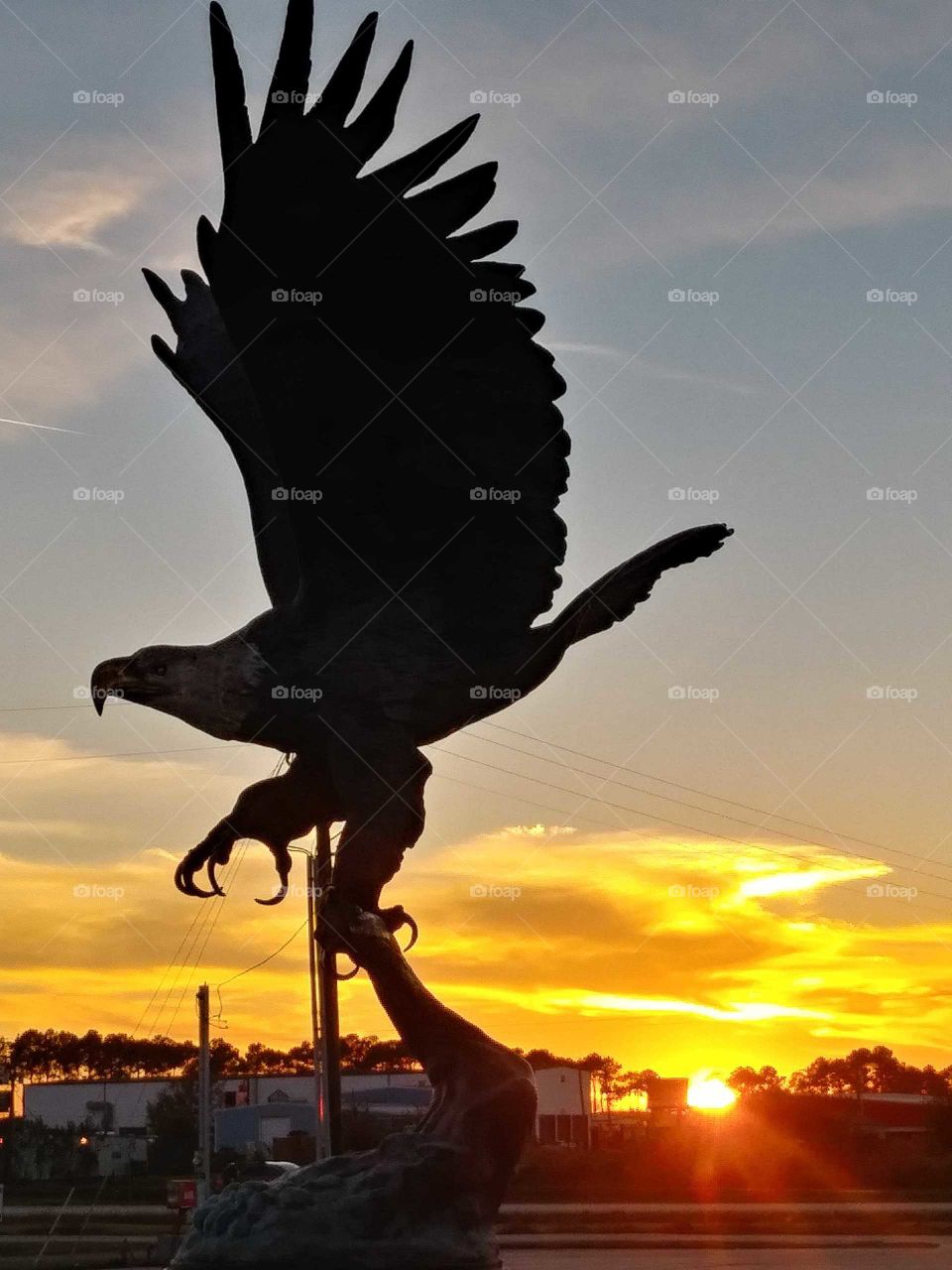 eagle statue with sunset