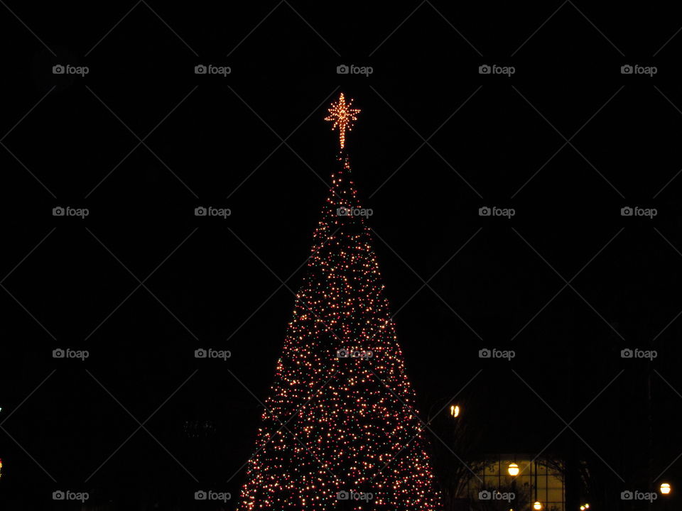 Christmas Tree in Atlanta