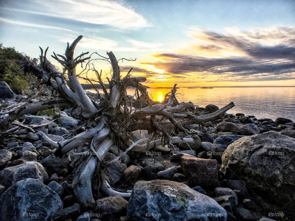 Beach of the North 