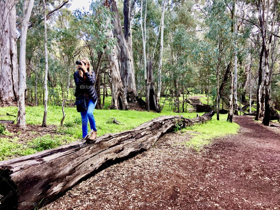 Anything to get the shot for FOAP, here I am (blonde adult middle age female woman photographer on self assignment to shoot photos for my portfolio on FOAP, balancing on log outdoors South Australia, Flinders Ranges, forest backdrop