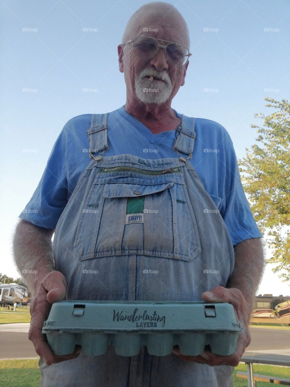 Locally "grown" eggs