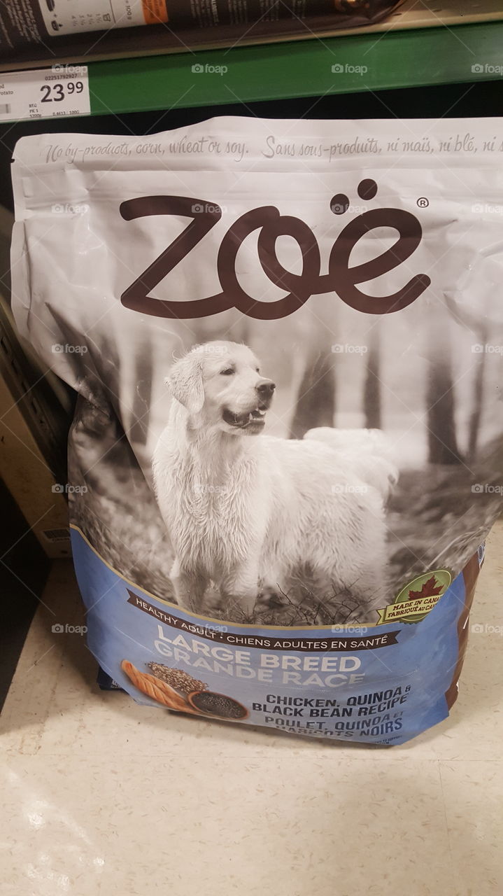 Business, Paper, No Person, Money, People