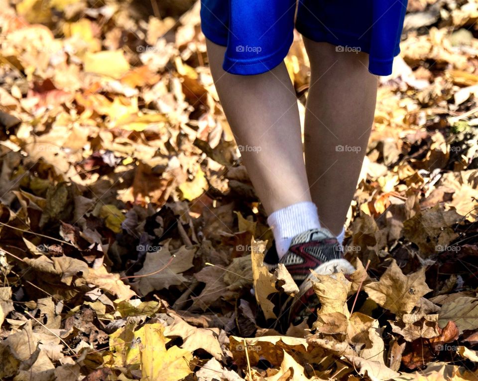 Boy walking in autumn leaves