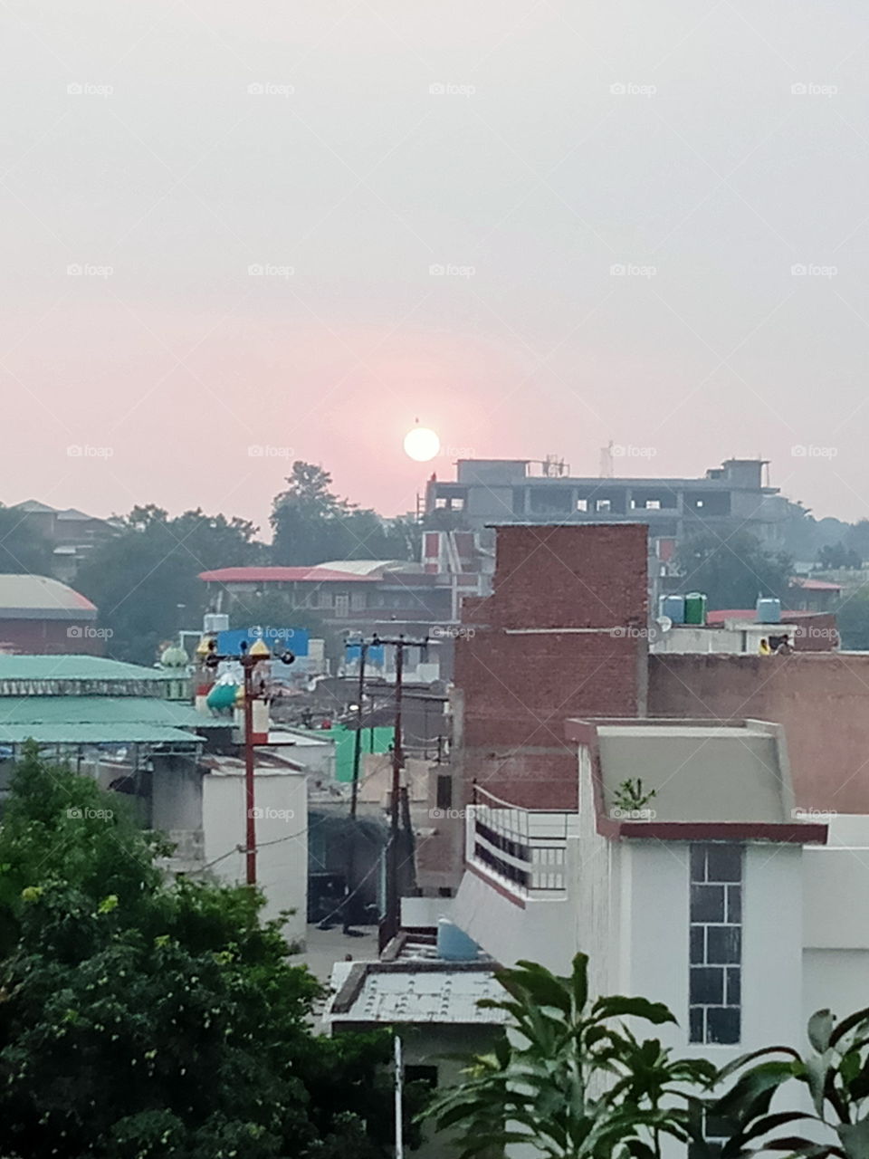 Crimson glory of the setting sun