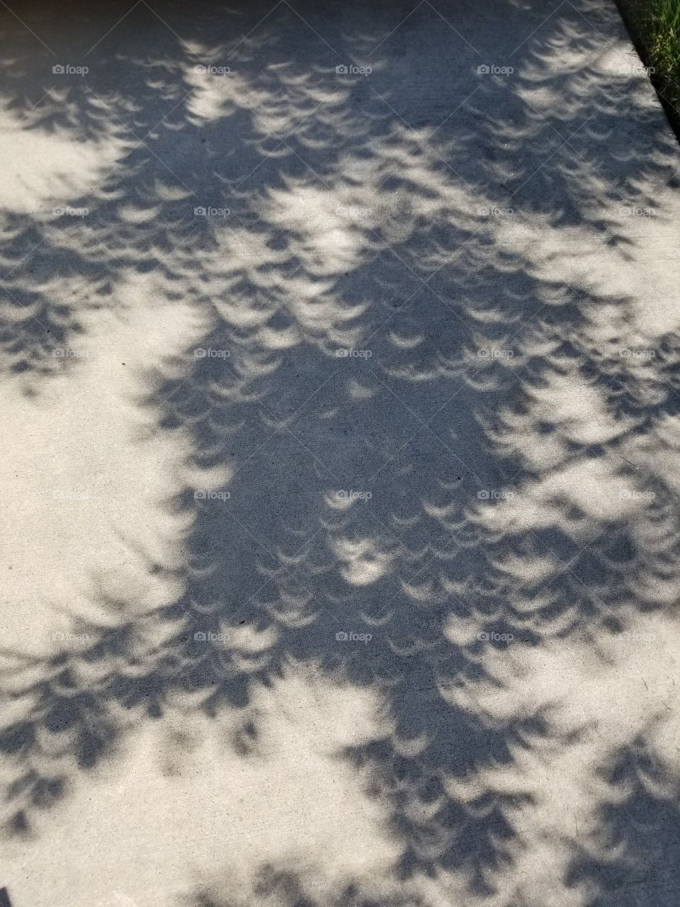 Eclipse shape