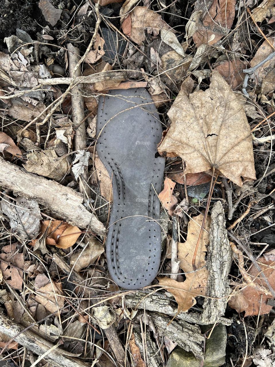 Old Sole