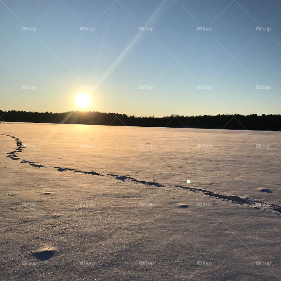 Snow and sun on the lake. 