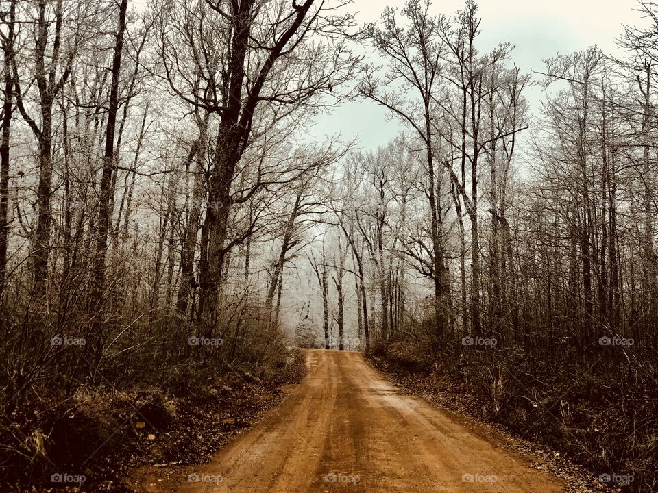 Back roads in Arkansas 