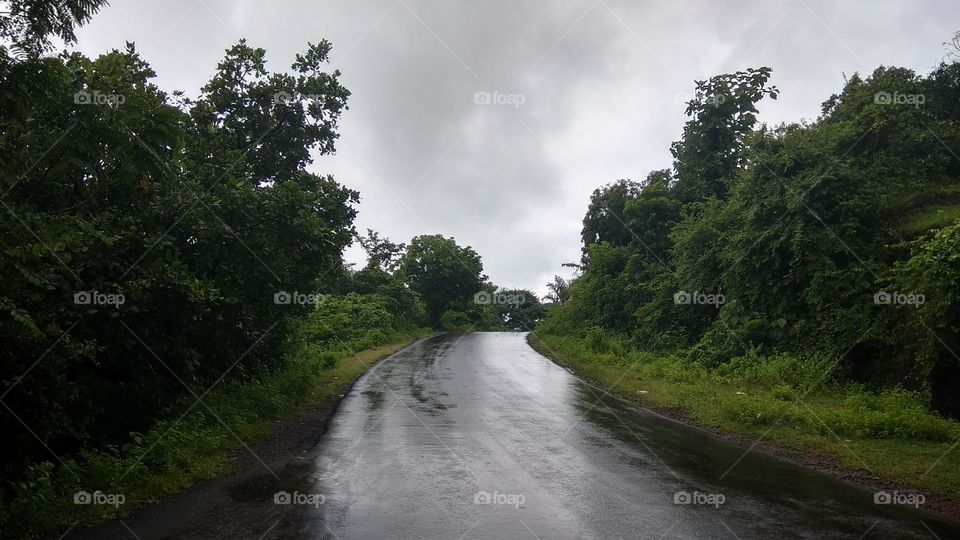 Autumn Rain Reflections