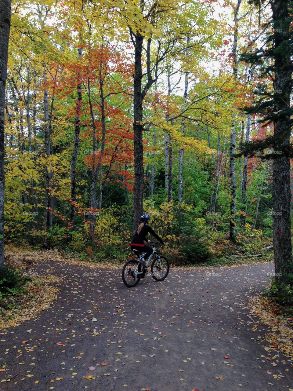 Bike Rides 🍁🍂