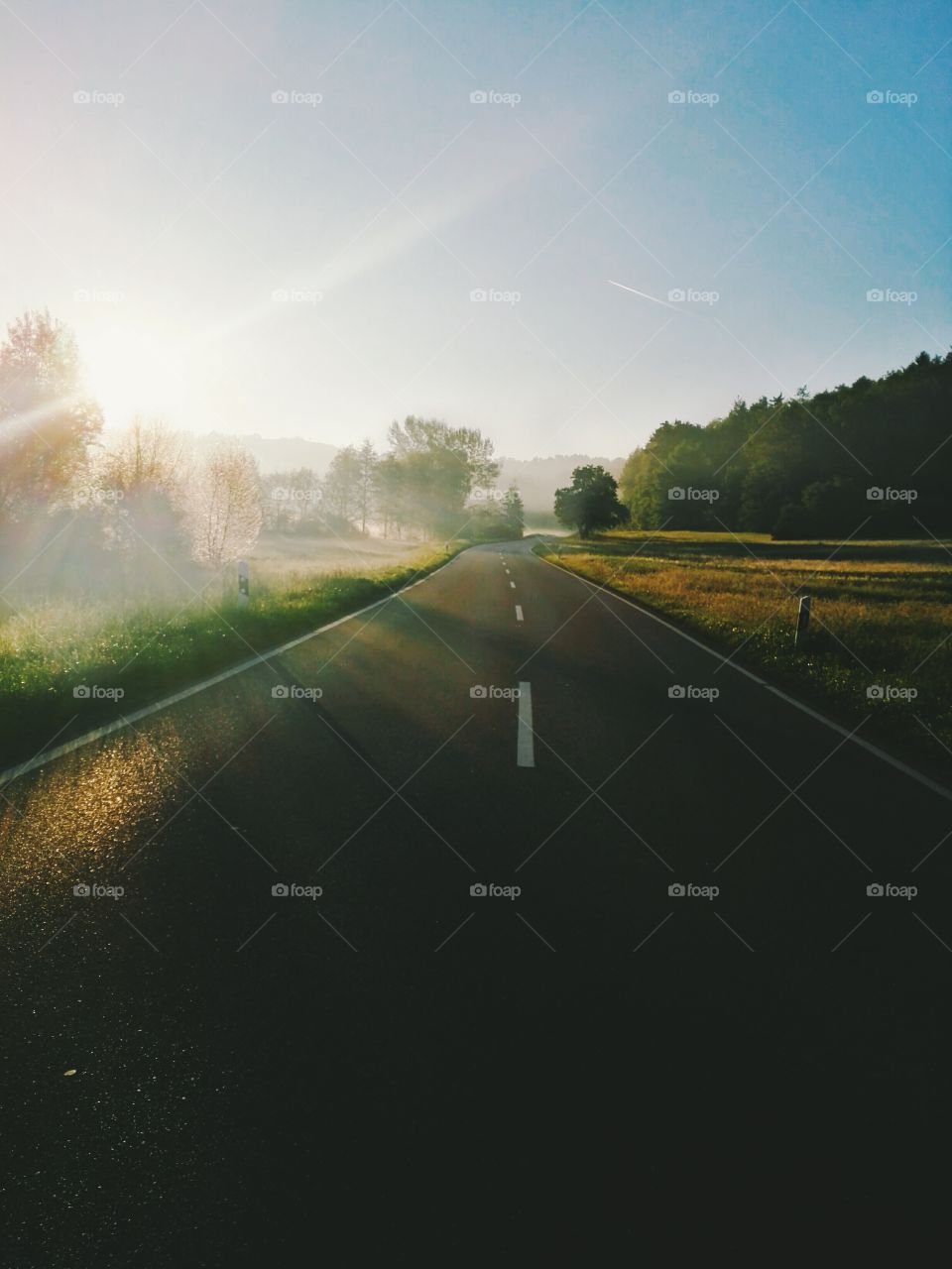 foggy may morning, Germany, road Renningen - Weil der Stadt