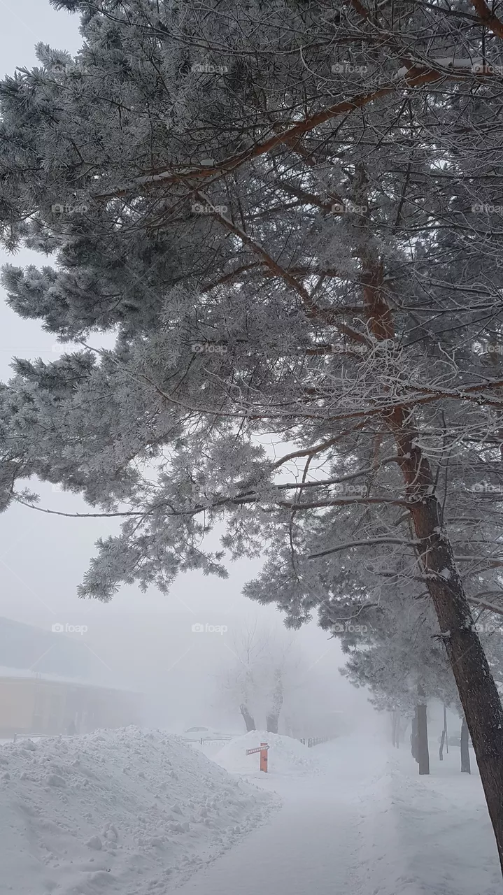 Russia