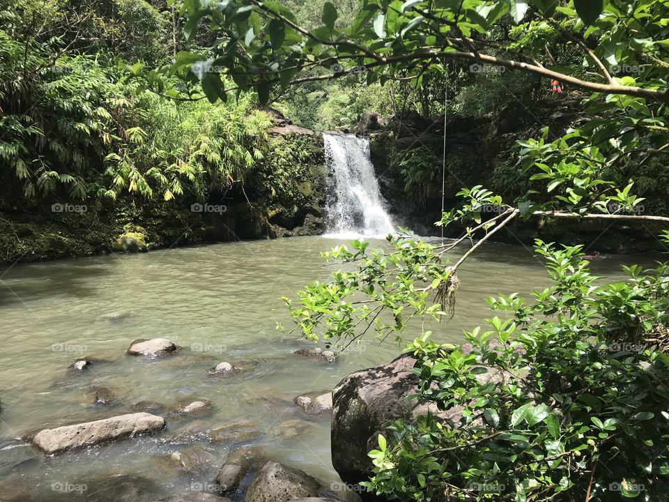 Waterfall on Maui 