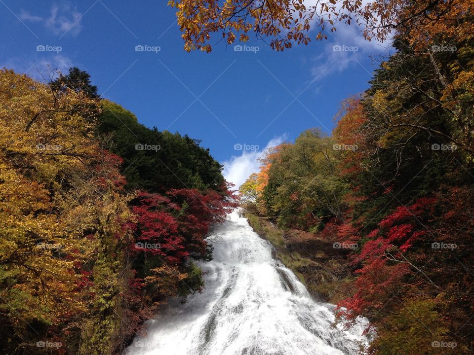 Yudaki Waterfall, Autumn is here