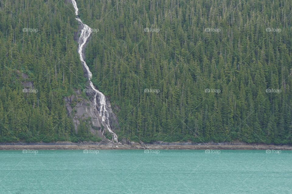 Snow and ice melt runs through the forest to the sea.  Alaska