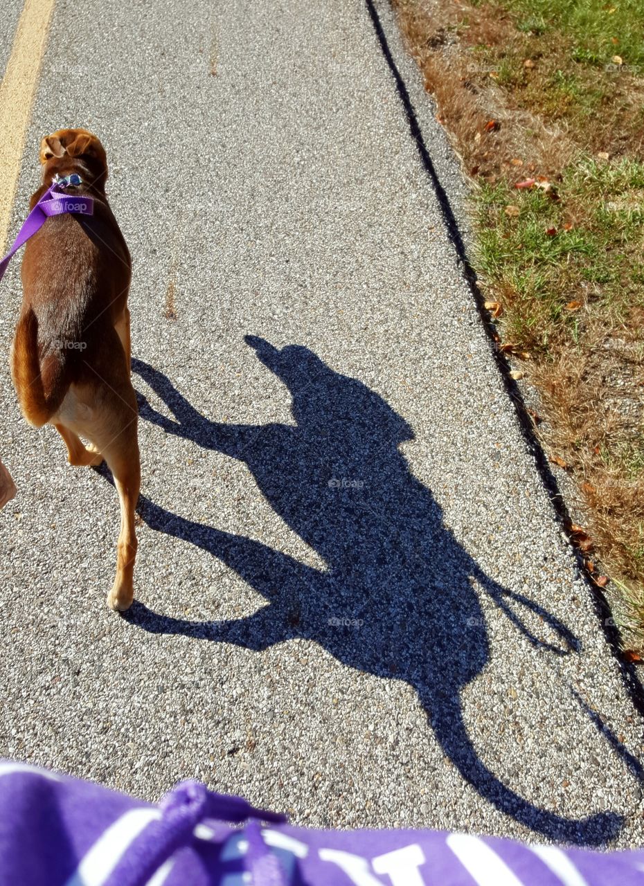 Walking Paris on a sunny day