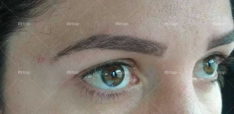 Olhos e Sombrancelhas