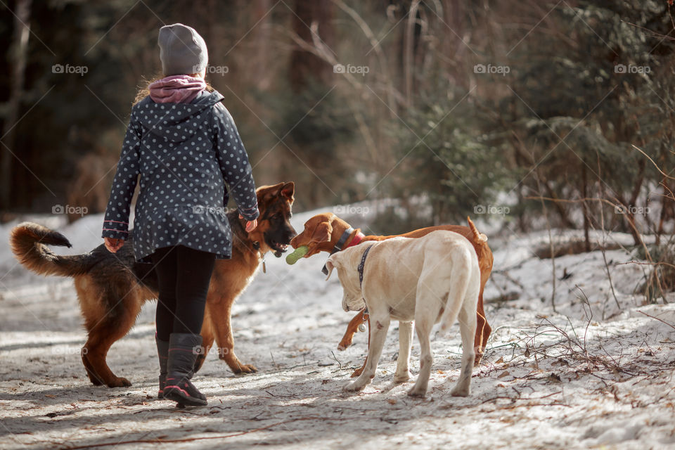 Girl playing with German shepherd puppy in a spring forest at sunny day 